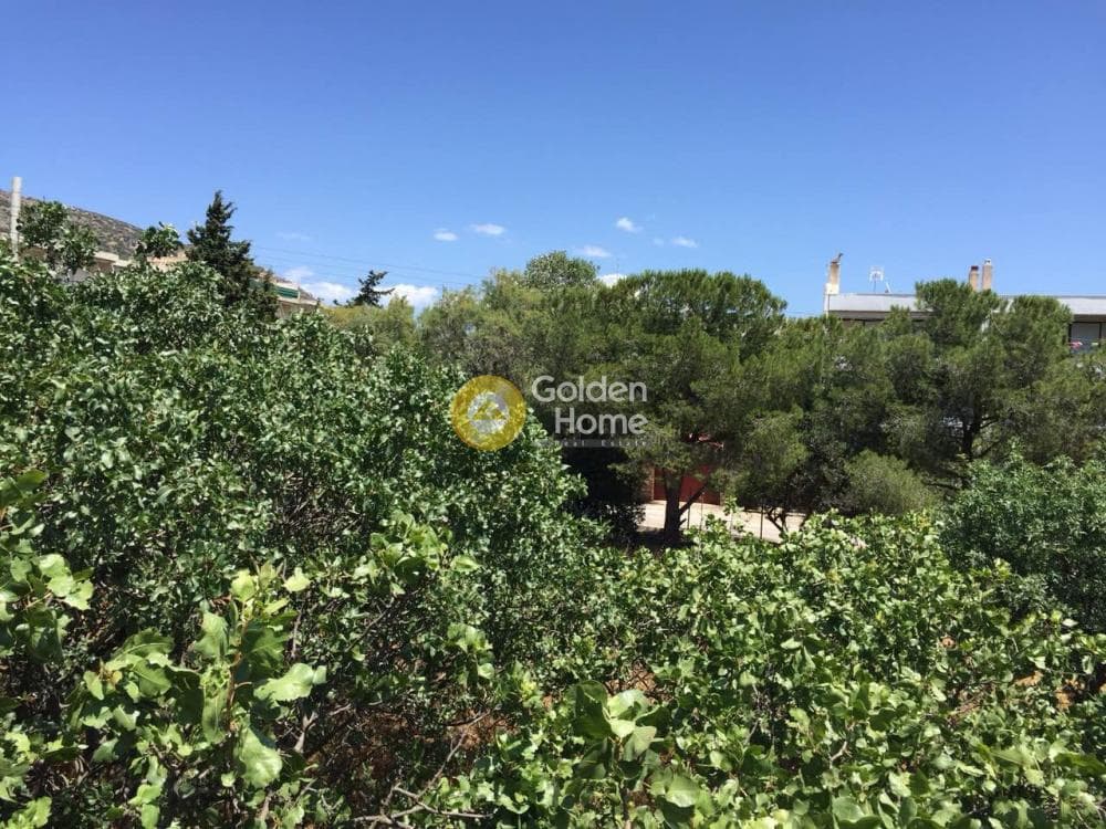 Μονοκατοικία στην Βραυρώνα, Βραυρώνα — Φωτογραφία 18 από 23