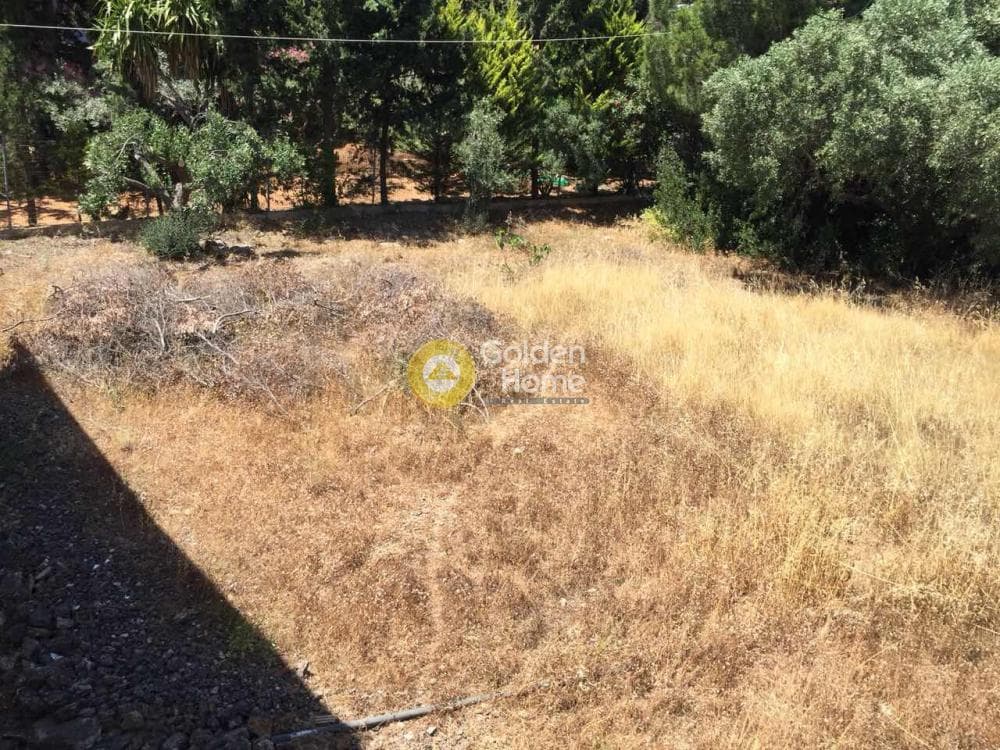 Μονοκατοικία στην Βραυρώνα, Βραυρώνα — Φωτογραφία 21 από 23