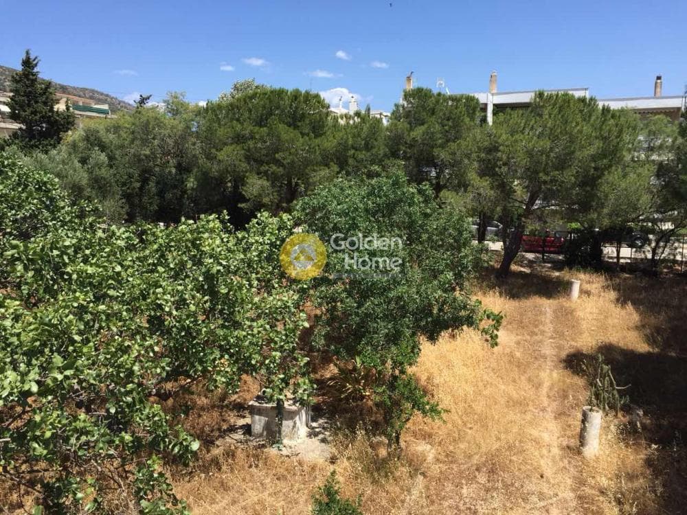 Μονοκατοικία στην Βραυρώνα, Βραυρώνα — Φωτογραφία 22 από 23