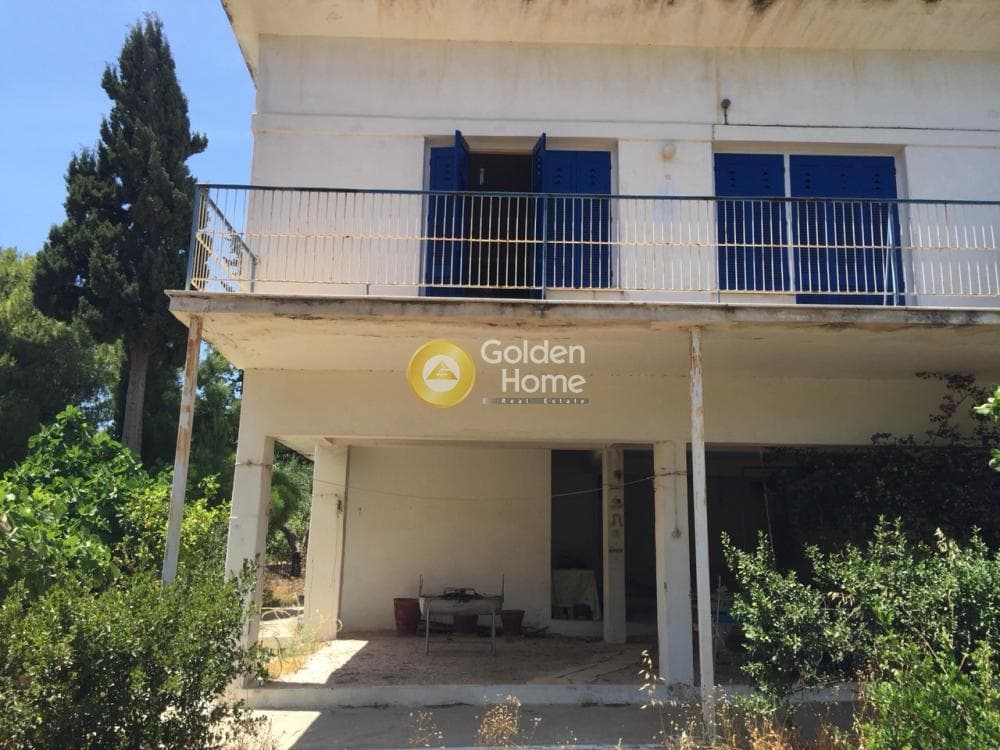 Μονοκατοικία στην Βραυρώνα, Βραυρώνα — Φωτογραφία 23 από 23