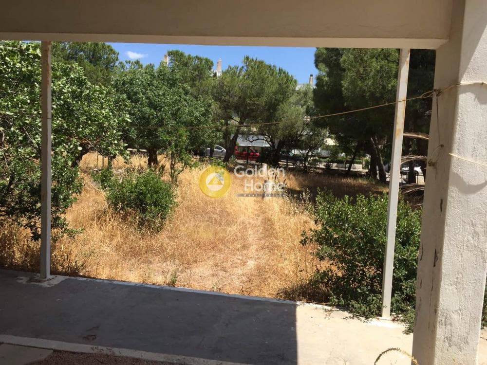 Οικόπεδο στην Βραυρώνα, Βραυρώνα — Φωτογραφία 2 από 23