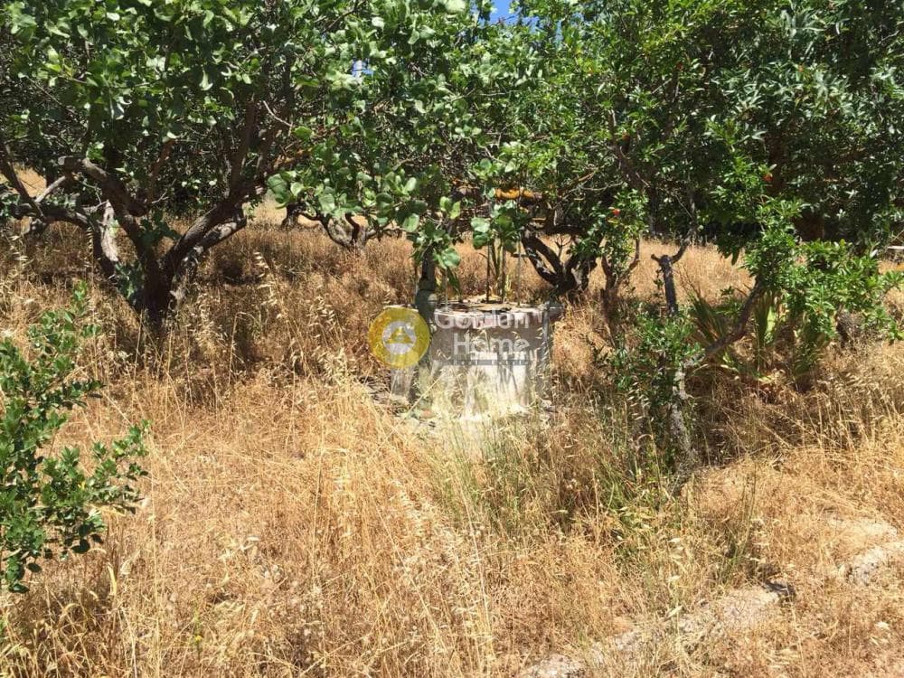 Οικόπεδο στην Βραυρώνα, Βραυρώνα — Φωτογραφία 5 από 23