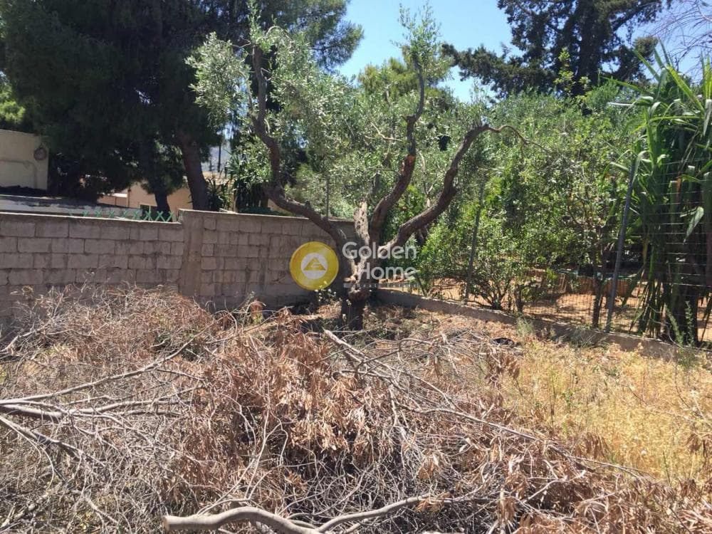 Οικόπεδο στην Βραυρώνα, Βραυρώνα — Φωτογραφία 7 από 23