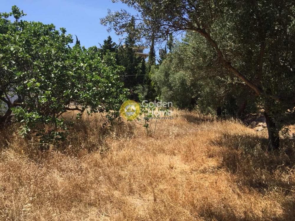 Οικόπεδο στην Βραυρώνα, Βραυρώνα — Φωτογραφία 12 από 23