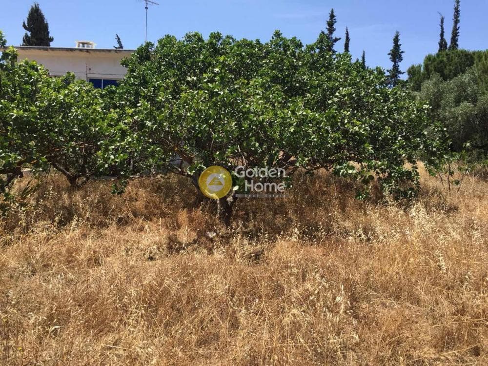 Οικόπεδο στην Βραυρώνα, Βραυρώνα — Φωτογραφία 13 από 23