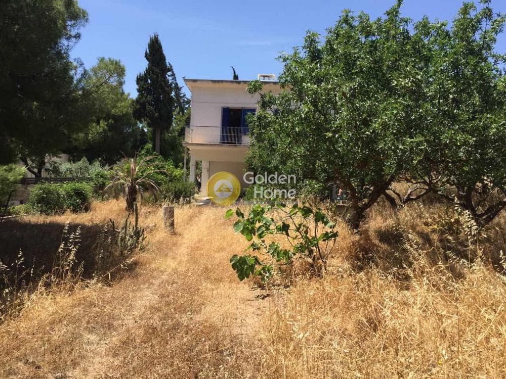 Οικόπεδο στην Βραυρώνα, Βραυρώνα — Φωτογραφία 15 από 23