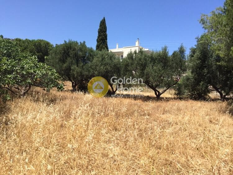 Οικόπεδο στην Βραυρώνα, Βραυρώνα — Φωτογραφία 14 από 23