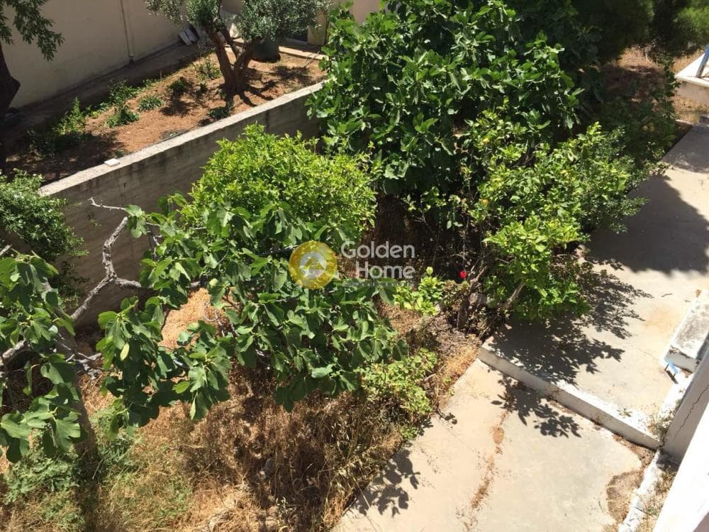 Οικόπεδο στην Βραυρώνα, Βραυρώνα — Φωτογραφία 17 από 23