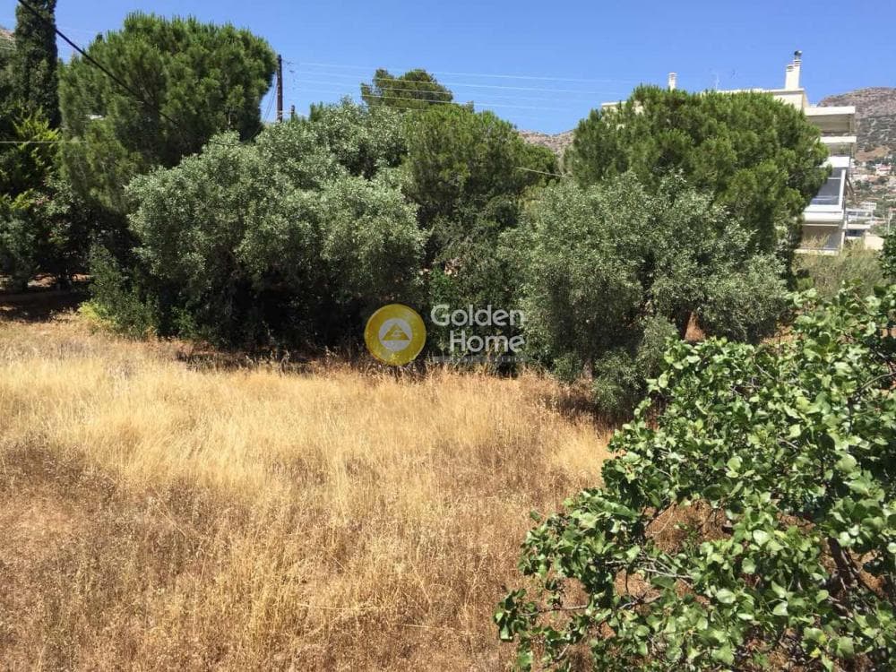 Οικόπεδο στην Βραυρώνα, Βραυρώνα — Φωτογραφία 19 από 23