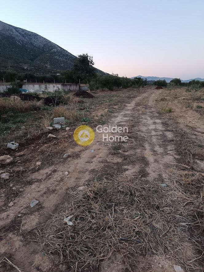Αγροτεμάχιο στην Κέντρο, Κορωπί — Φωτογραφία 2 από 5