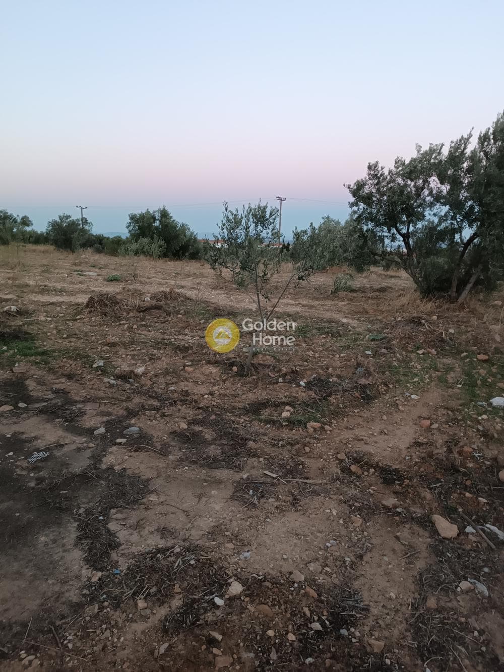 Αγροτεμάχιο στην Κέντρο, Κορωπί — Φωτογραφία 5 από 5