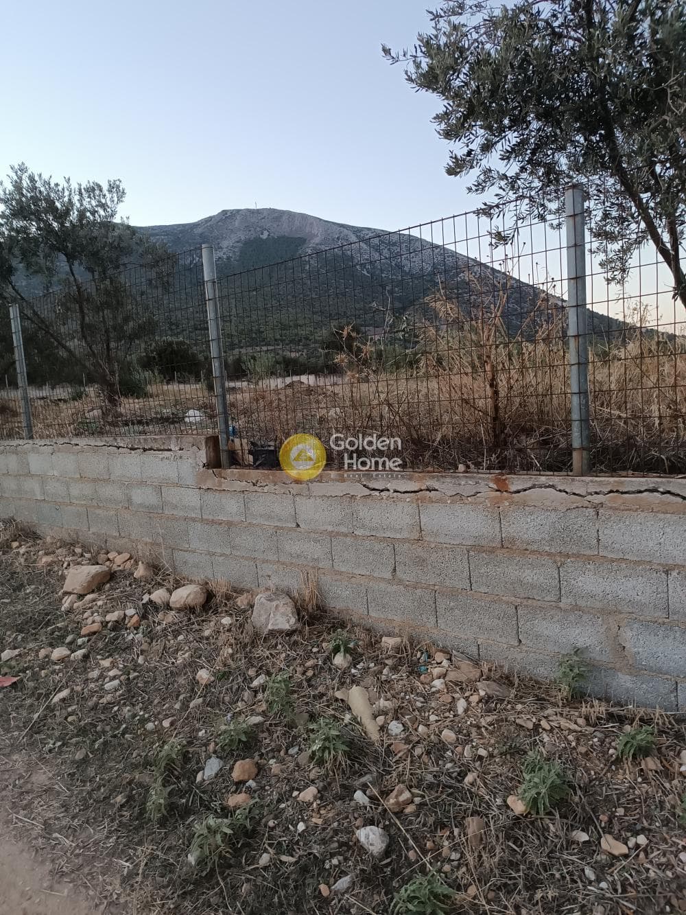 Αγροτεμάχιο στην Κέντρο, Κορωπί — Φωτογραφία 4 από 5