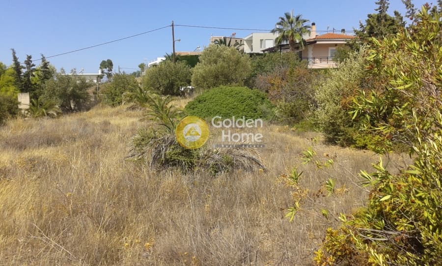 House in Paralia, Anavissos — Photo 5 of 25