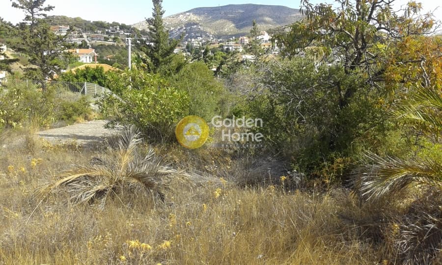 House in Paralia, Anavissos — Photo 6 of 25
