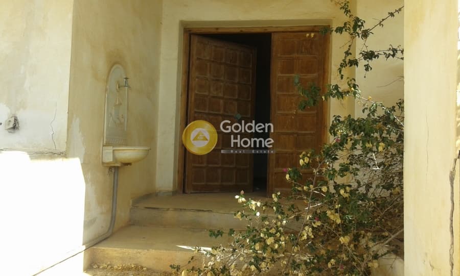House in Paralia, Anavissos — Photo 8 of 25