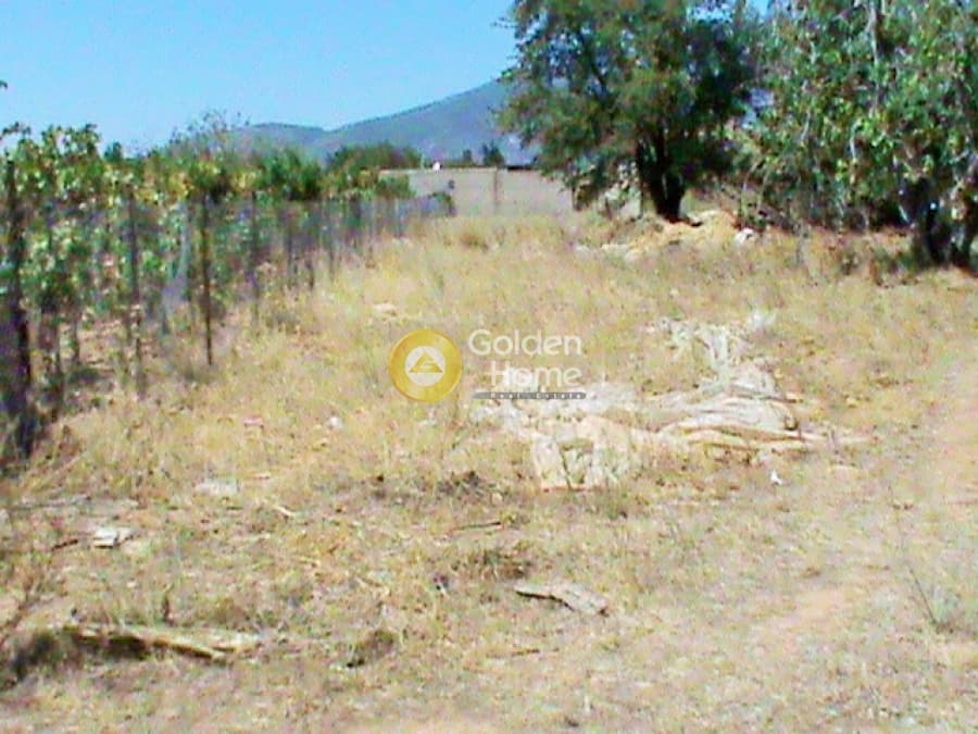 Αγροτεμάχιο στην Αδάμες (Οικισμός Γράμμος - Φοίνικας), Κηφισιά — Φωτογραφία 2 από 3