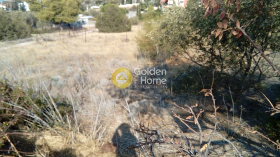 Building Plot in Kalivia, Kalivia Thorikou — Photo 3 of 4