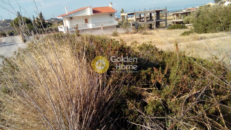 Building Plot in Kalivia, Kalivia Thorikou — Photo 4 of 4