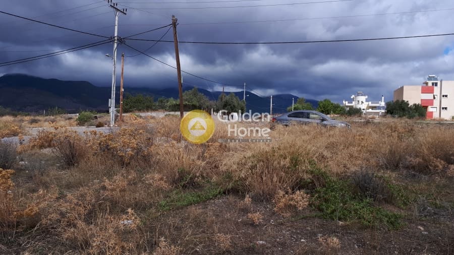Οικόπεδο στην Ζεφύρι, Ζεφύρι — Φωτογραφία 2 από 3