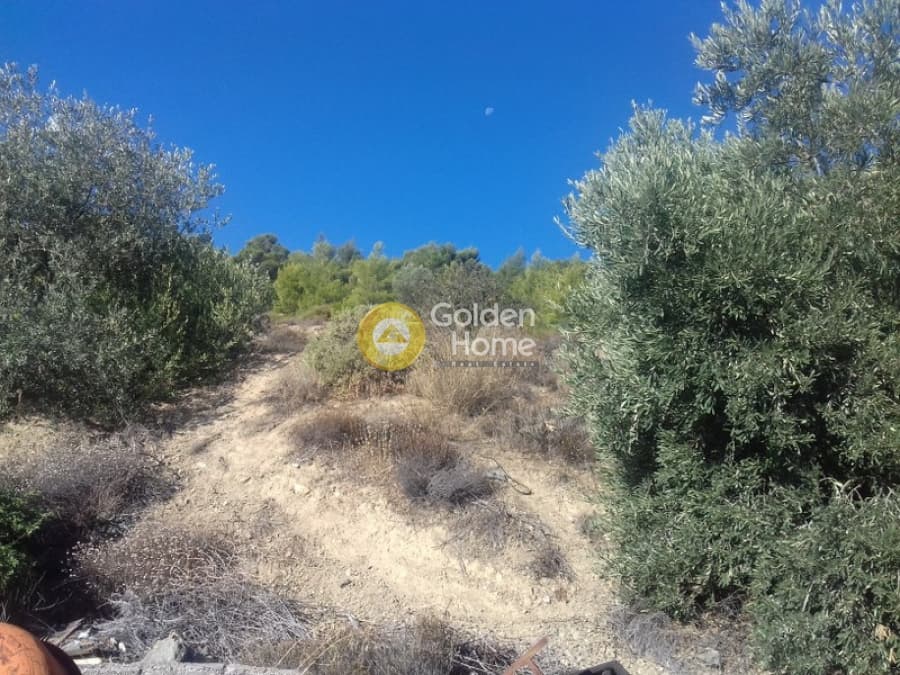 Parcel in Megala Sxoinia A, Acharnes — Photo 1 of 10
