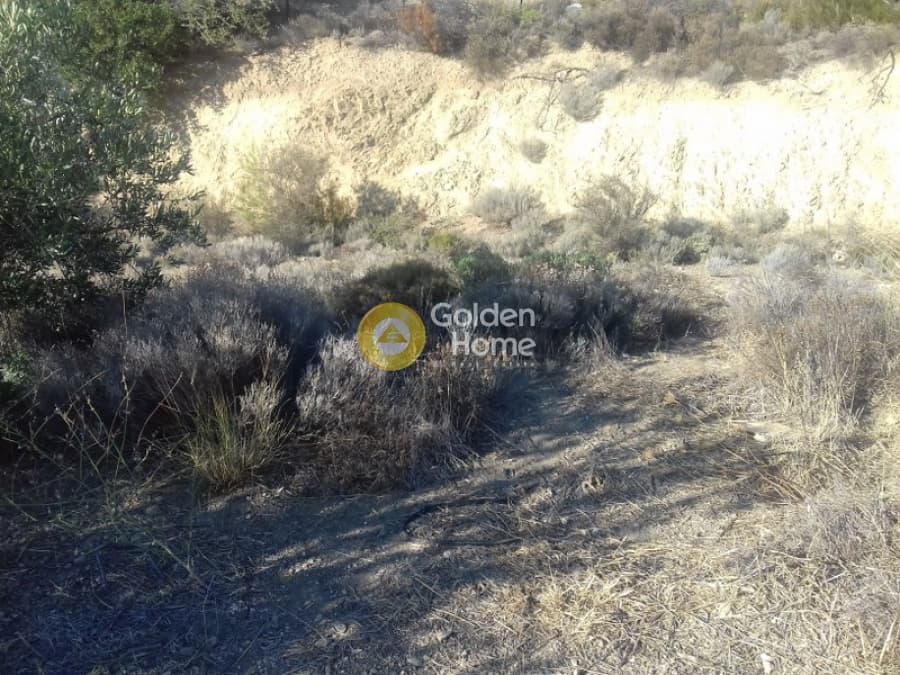 Parcel in Megala Sxoinia A, Acharnes — Photo 2 of 10