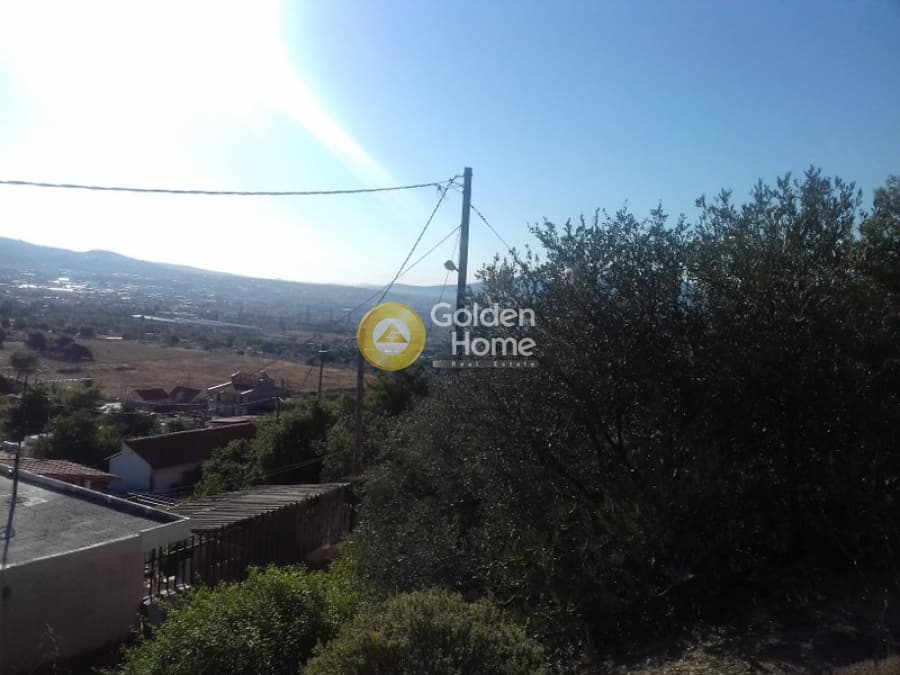 Parcel in Megala Sxoinia A, Acharnes — Photo 5 of 10