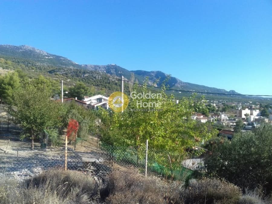 Parcel in Megala Sxoinia A, Acharnes — Photo 8 of 10