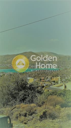 Οικόπεδο στην Πόρτο Ράφτη, Βραυρώνα — Φωτογραφία 6 από 8