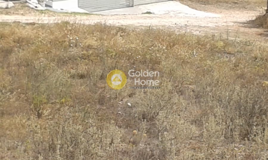 Building Plot in Ari, Anavissos — Photo 1 of 2
