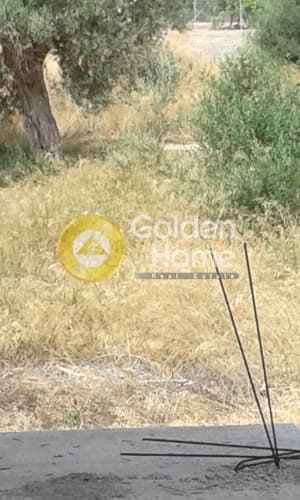 Building Plot in Ari, Anavissos — Photo 2 of 2