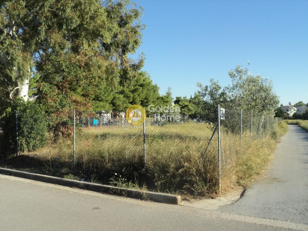 Building Plot in Gargittos, Gerakas — Photo 2 of 8