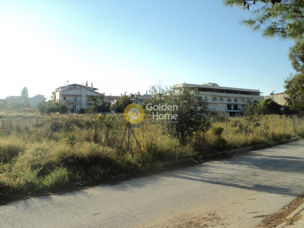 Building Plot in Gargittos, Gerakas — Photo 3 of 8