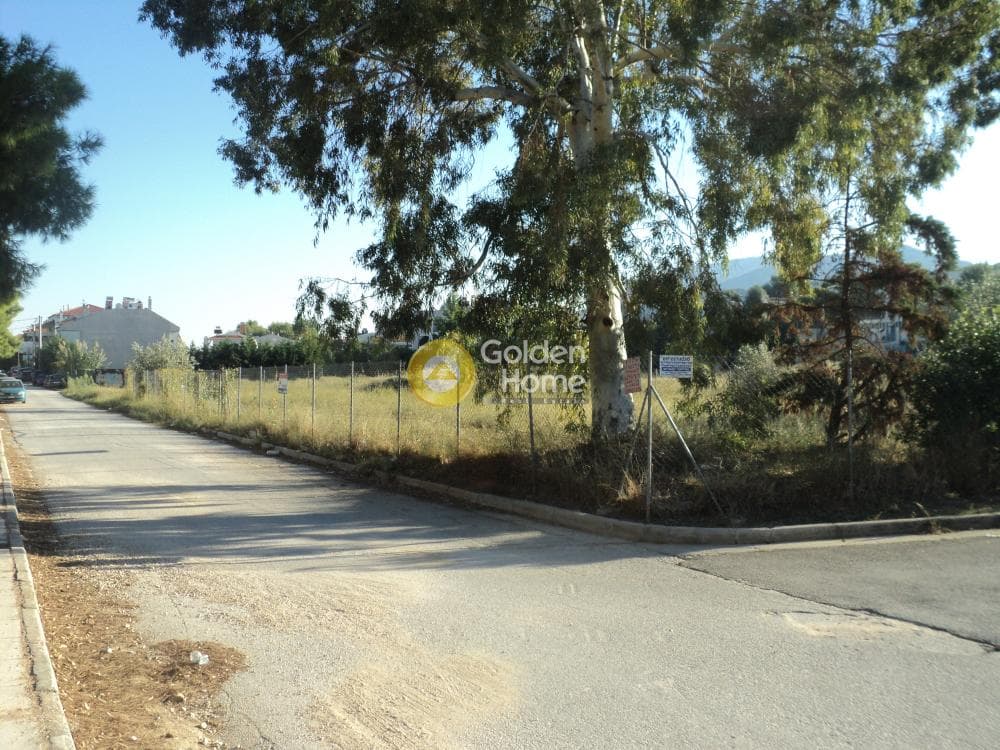 Building Plot in Gargittos, Gerakas — Photo 4 of 8
