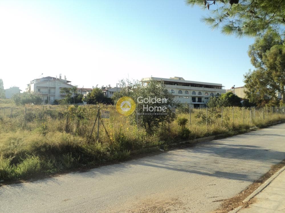 Building Plot in Gargittos, Gerakas — Photo 5 of 8
