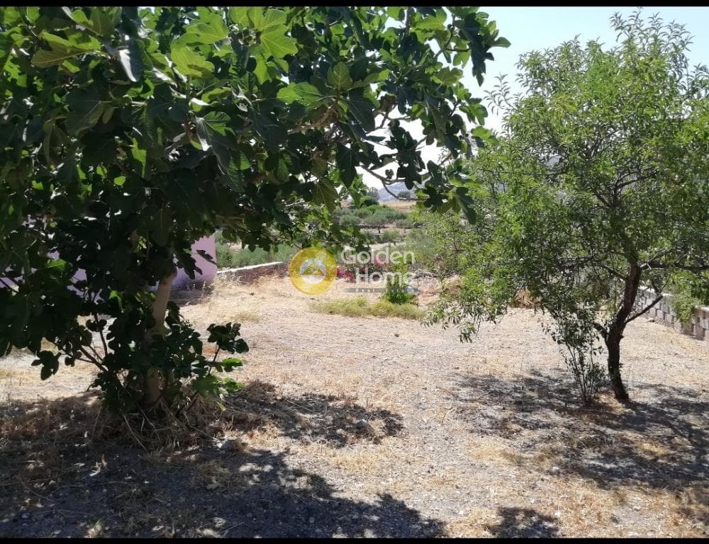 Building Plot in Poseidonia, Syros — Photo 3 of 5