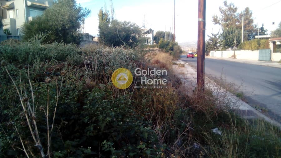 Building Plot in Center, Markopoulo — Photo 2 of 3