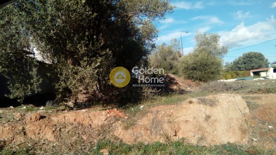 Building Plot in Center, Markopoulo — Photo 3 of 3