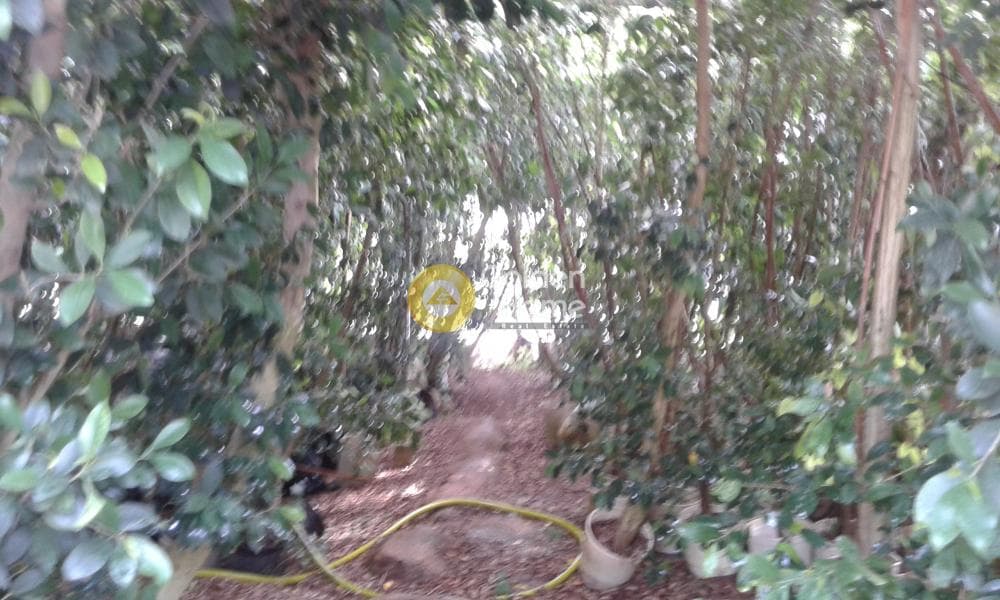 Οικόπεδο στην Κοκκινιά, Μαρούσι — Φωτογραφία 11 από 25