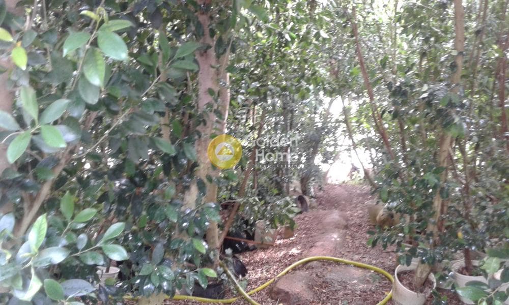 Οικόπεδο στην Κοκκινιά, Μαρούσι — Φωτογραφία 2 από 25