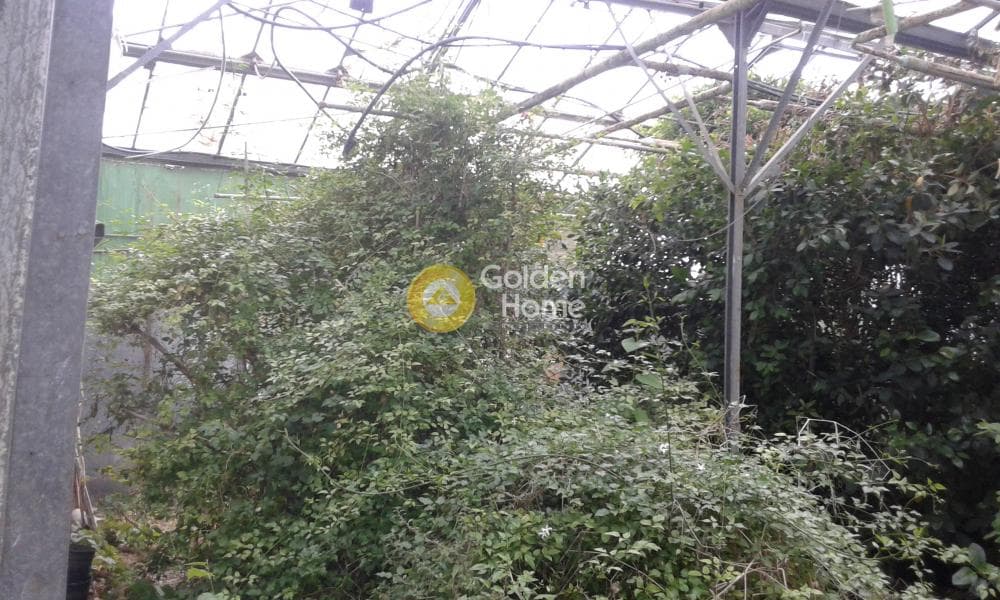 Οικόπεδο στην Κοκκινιά, Μαρούσι — Φωτογραφία 10 από 25