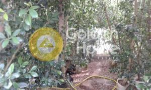 Οικόπεδο στην Κοκκινιά, Μαρούσι — Φωτογραφία 25 από 25