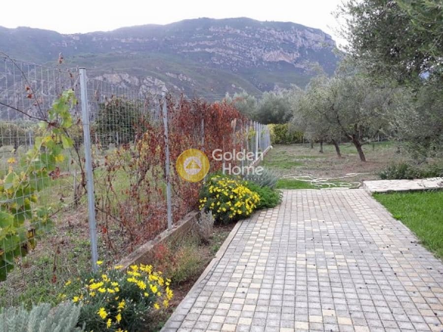 House in Elaionas, Diakopto — Photo 18 of 40