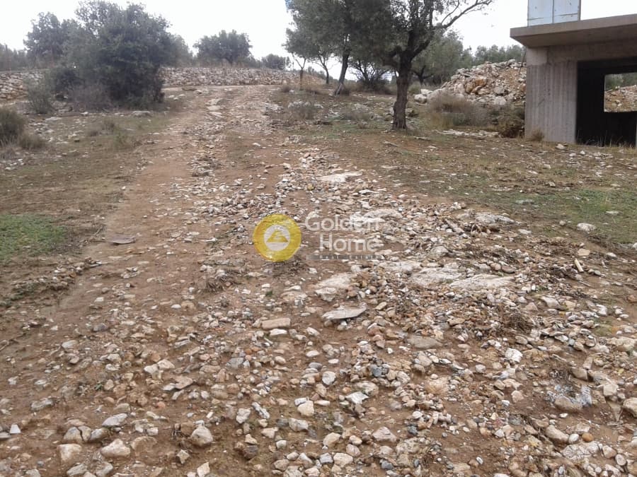Μονοκατοικία στην ΒΙ.ΠΕ, Κορωπί — Φωτογραφία 3 από 7