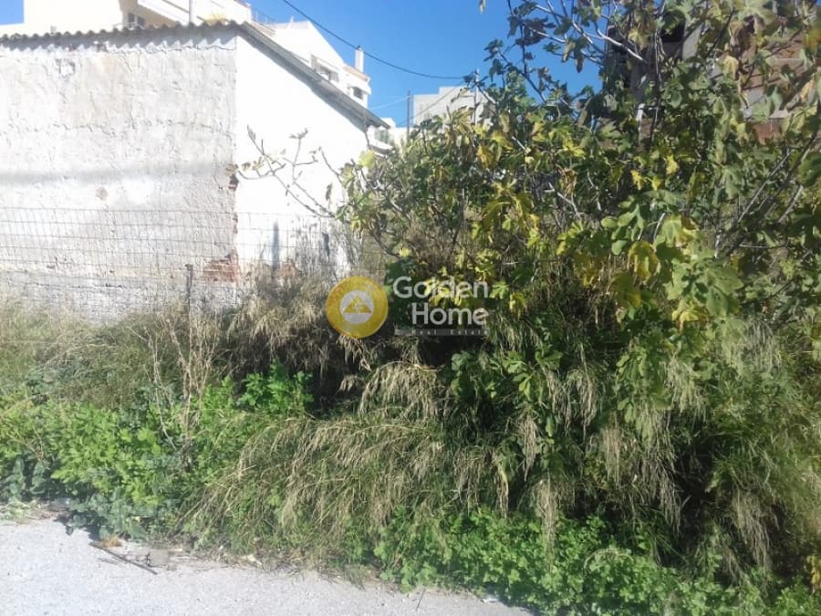 Building Plot in Pirgouthi, Acharnes — Photo 6 of 10