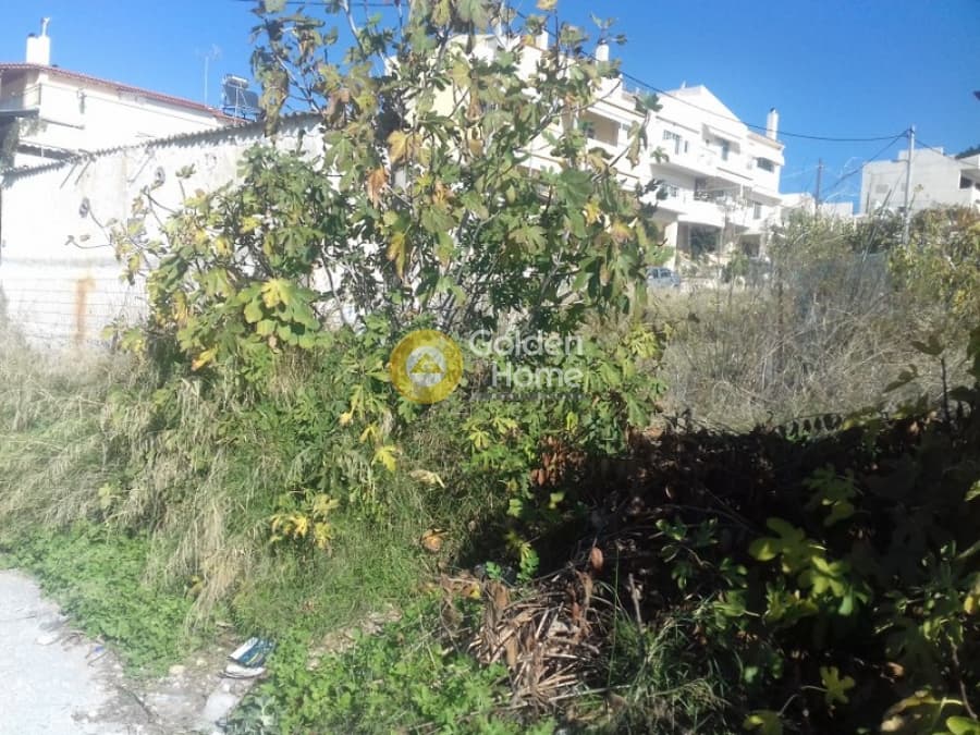 Building Plot in Pirgouthi, Acharnes — Photo 7 of 10