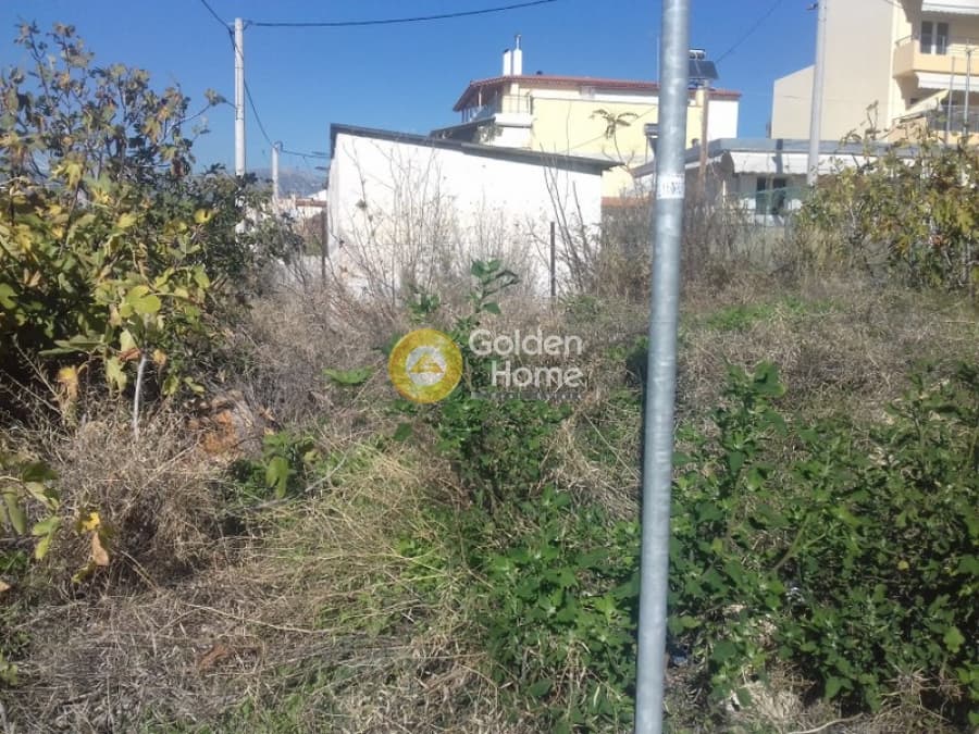 Building Plot in Pirgouthi, Acharnes — Photo 8 of 10