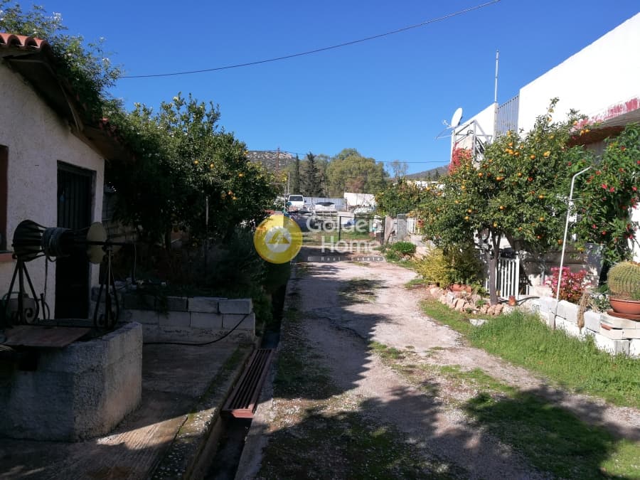 Οικόπεδο στην Λαμπρικά, Κορωπί — Φωτογραφία 6 από 9