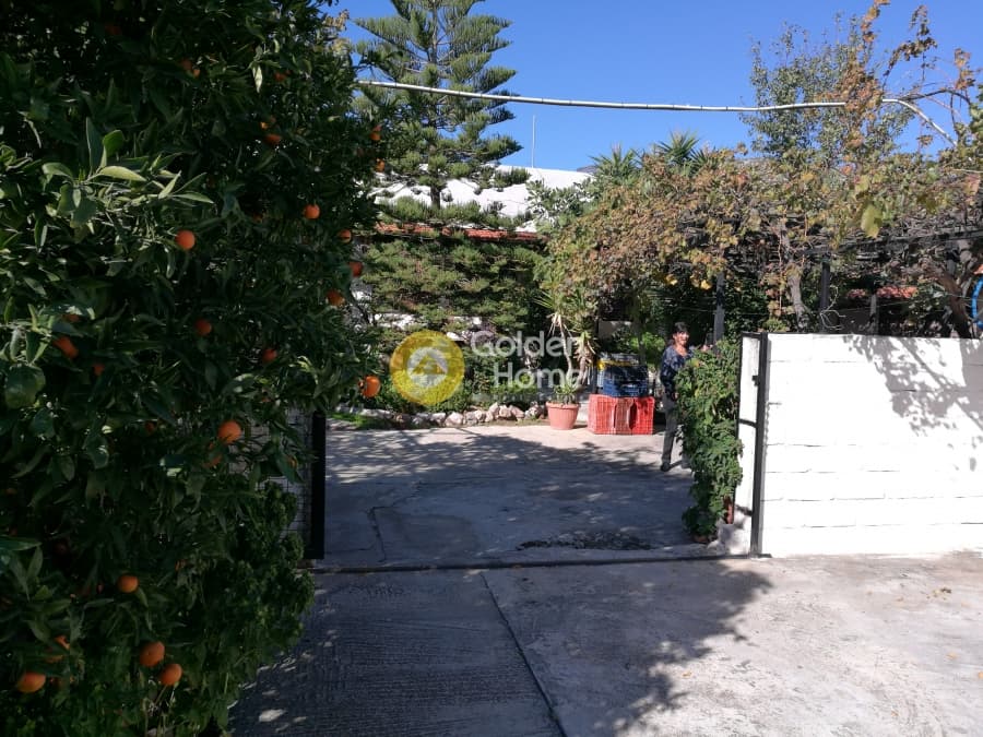 Οικόπεδο στην Λαμπρικά, Κορωπί — Φωτογραφία 9 από 9
