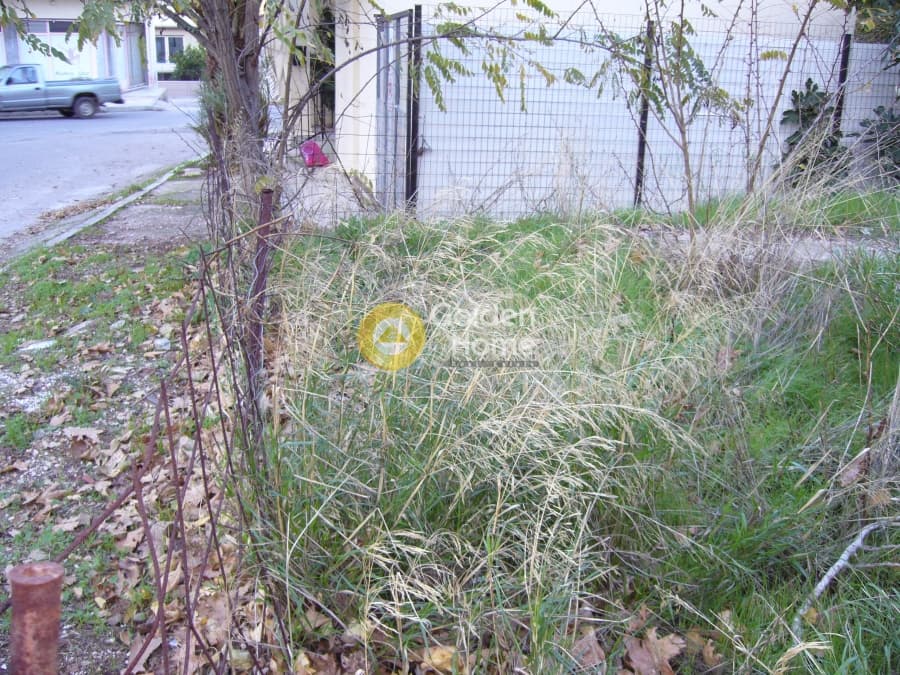 Building Plot in Venio Daskaleiou, Keratea — Photo 3 of 6