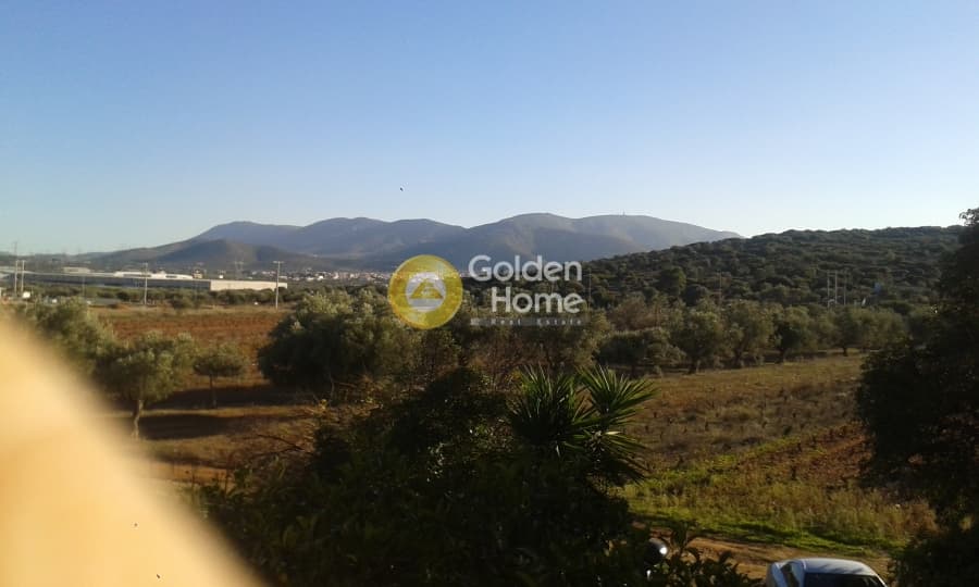 Μονοκατοικία στην Κουλιδάς, Μαρκόπουλο — Φωτογραφία 4 από 7
